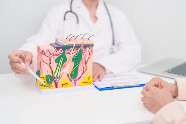 Hipodermis, Lapisan Kulit Terdalam yang Melindungi Tubuh - Alodokter