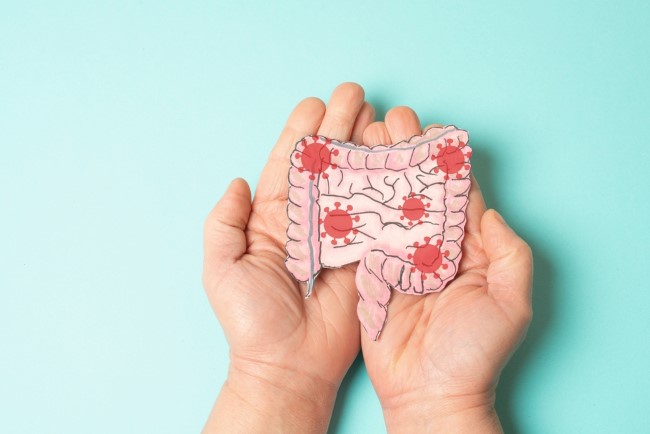 Ileum, Kenali Fungsi Pentingnya dalam Sistem Pencernaan - Alodokter