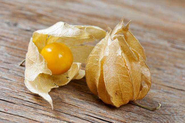 5 Manfaat Buah Ciplukan untuk Pria yang Jarang Diketahui - Alodokter