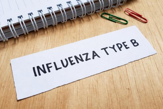 Influenza B