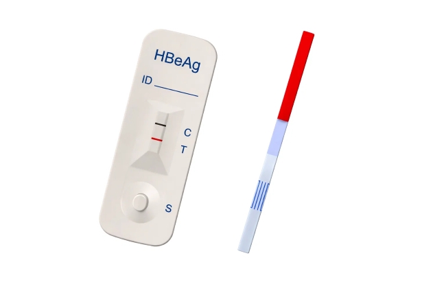 HBeAg, Penanda Aktivitas dan Penularan Hepatitis B - Alodokter
