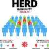 Memahami Herd Immunity dalam Pandemi COVID-19