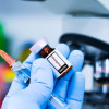 Progres Vaksin Virus Chikungunya