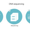 Next Generation Sequencing (NGS) sebagai Evolusi - Transformasi Diagnosis Prenatal