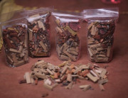 Fakta tentang Klaim Manfaat Kayu Bajakah untuk Kanker