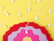 Onamni tukli mushuki bilan sikaman Mikro bikini kapalak fotosurati