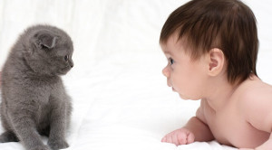 Benarkah Hewan Peliharaan Dapat Membuat Bayi Lebih Sehat?