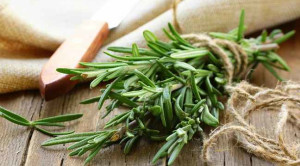6 Manfaat Rosemary Bagi Kesehatan Tubuh Alodokter