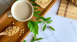 Formula Isolat Protein Soya: Informasi Terkini