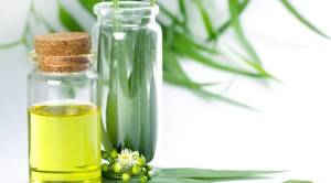 Efikasi dan Aspek Keamanan Minyak Eucalyptus pada COVID-19
