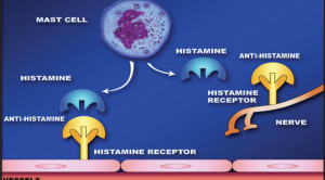 Antihistamin Tidak Disarankan untuk Asma