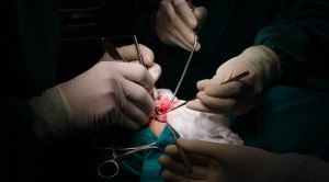 Rekonstruksi Laserasi Bibir: Tips untuk Hasil Terbaik