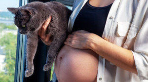 Skrining Toxoplasmosis untuk Wanita Hamil