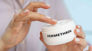 Potensi Permetrin sebagai Terapi Alternatif Cutaneous Larva Migrans (CLM) – Telaah Jurnal Alomedika