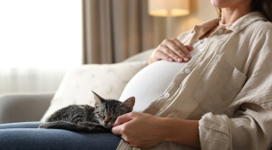 Pencegahan dan Penatalaksanaan Toxoplasmosis pada Kehamilan