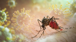 Pedoman Penanganan Penyakit Dengue, Chikungunya, dan Penyakit Arbovirus Lain – Ulasan Guideline Terkini