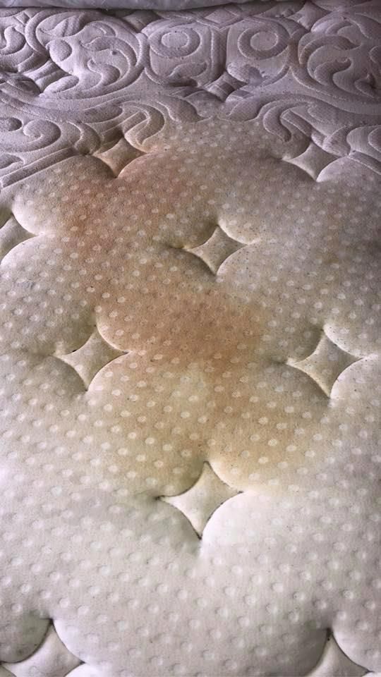 Why Your Mattress Smells in Singapore (And How to Fix It Fast & Stop It Coming Back)