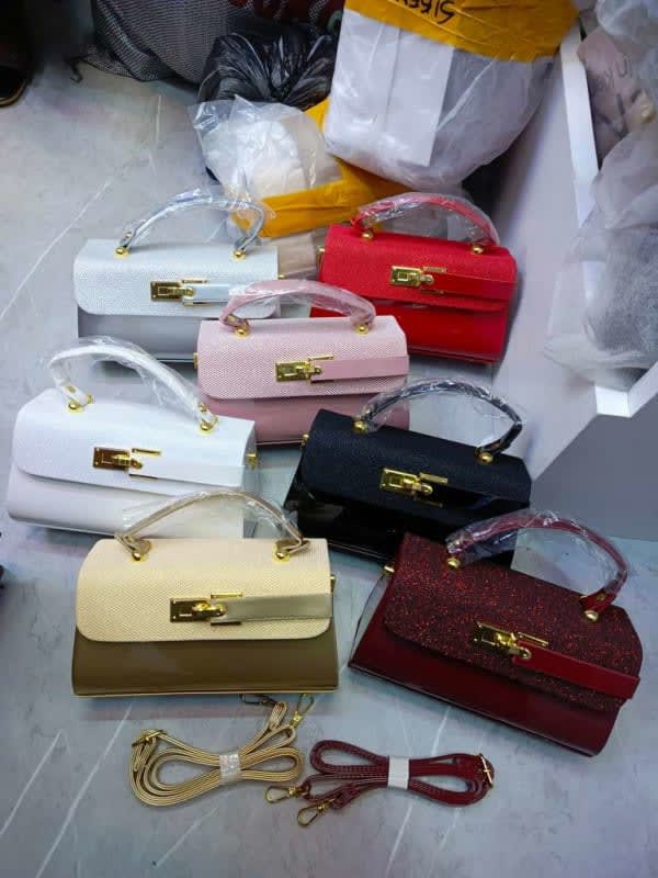 Elegant Mini Handbag for Women image 1