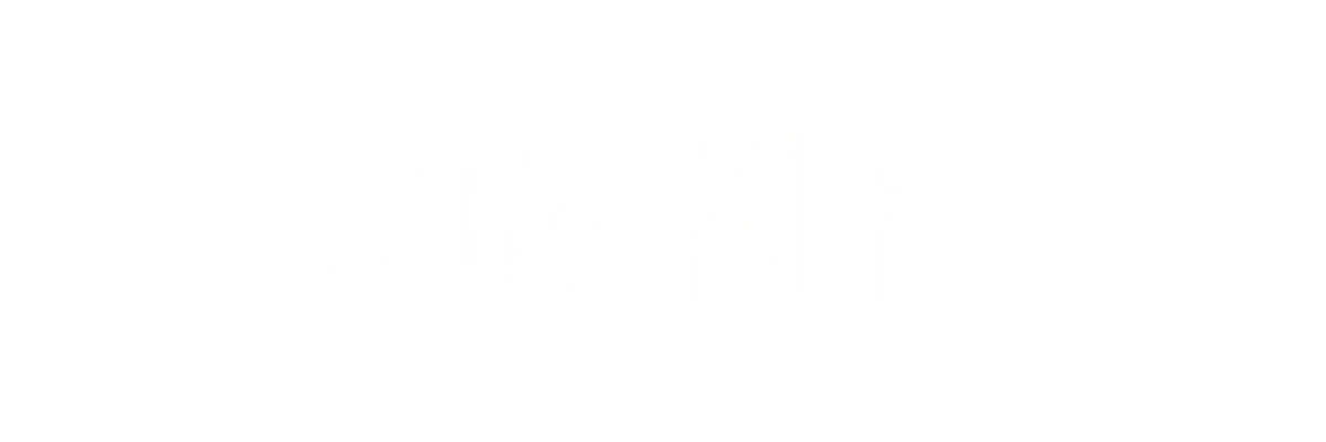 SCARVIFY