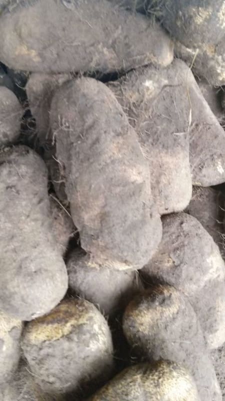 Fresh clean yams image 1
