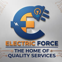 ELECTRIC FORCE LTD