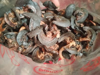 Snails, cakes, chin Chin, peanut, home food delivery
