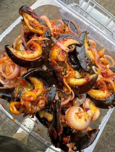 Snails