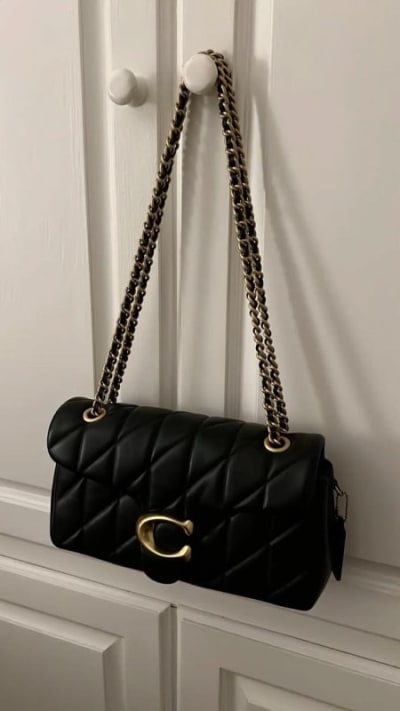 Coach bag tabby