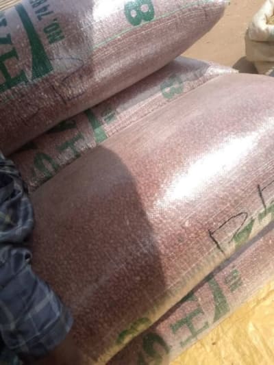 Wholesale Processed Peanuts (Groundnuts)