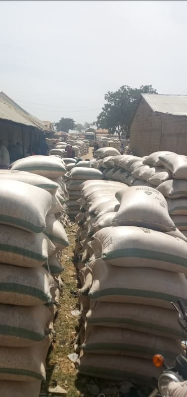Soybeans (soja)
