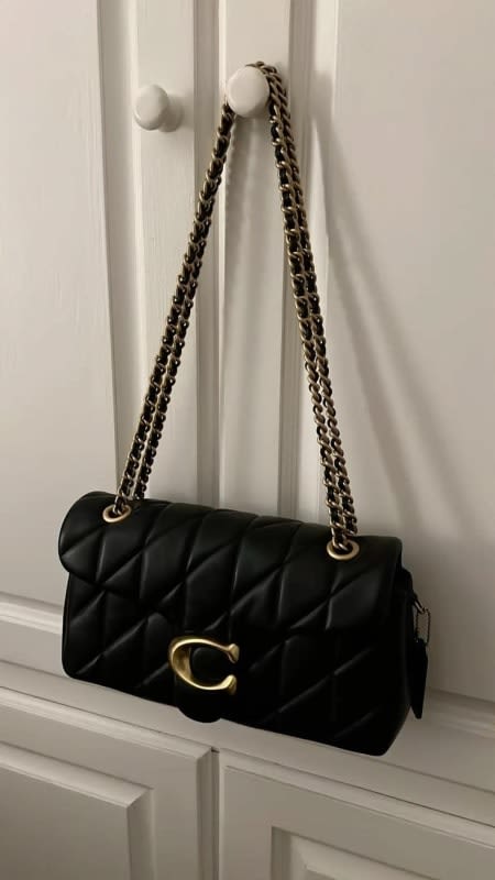Coach bag tabby
