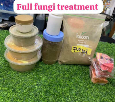 Chronic Fungi Treatment