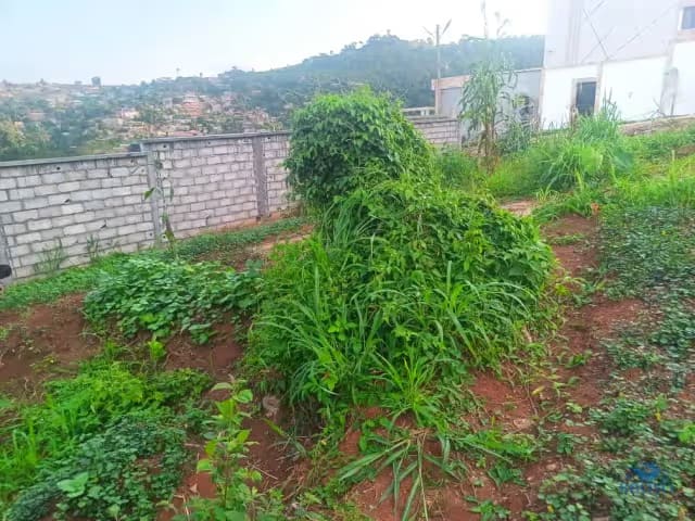 Plot Area, 320m2