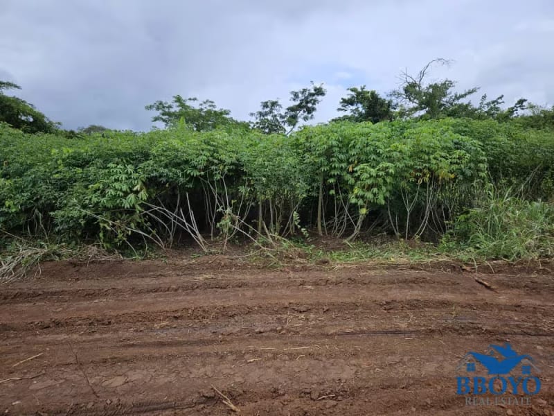 1000m2 prime land available in Nkomtou YaoundΓ©