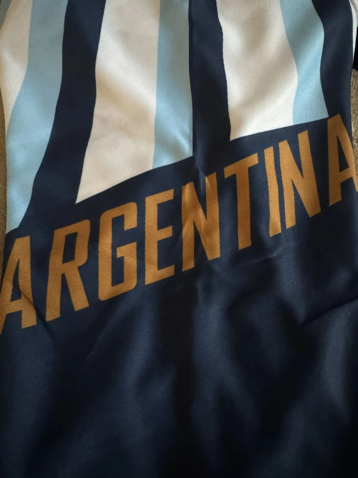 Camiseta de Entrenamiento Argentina 2026 Versión Fan - imagen 3