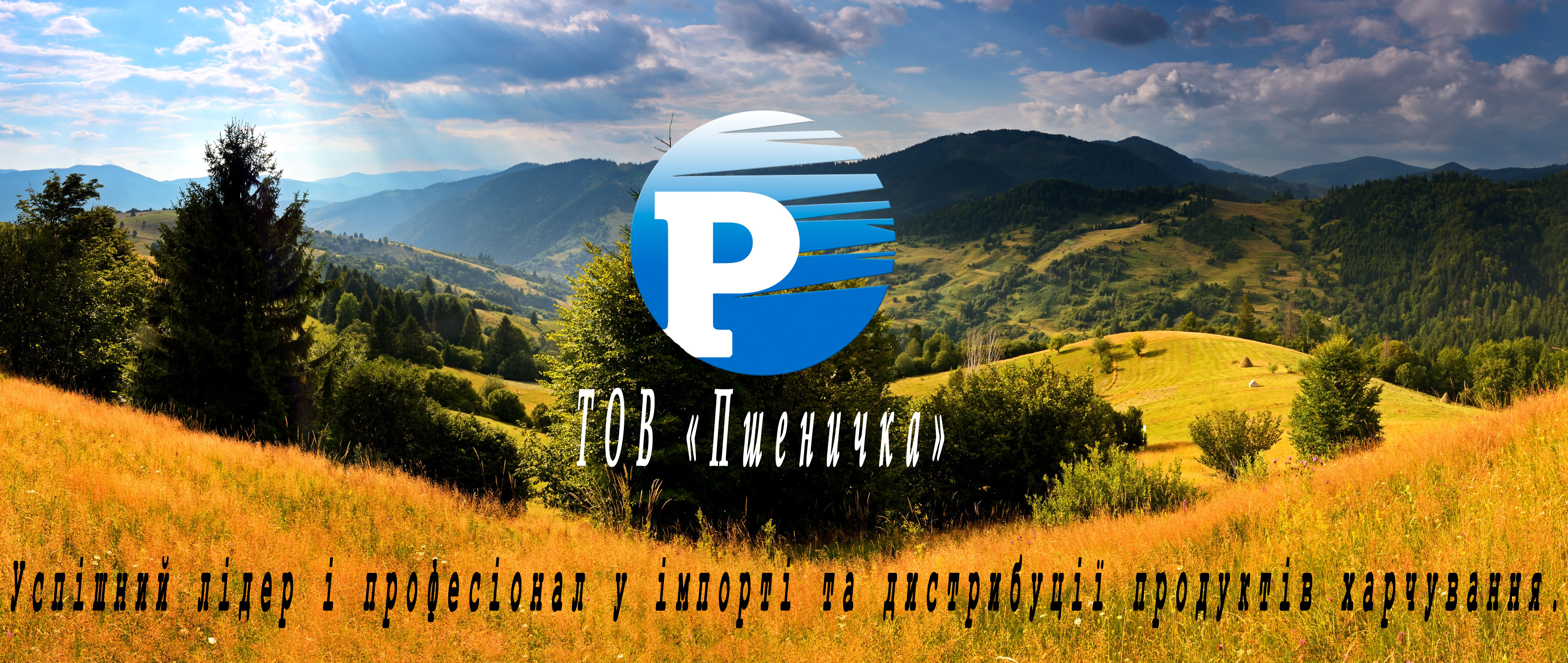 про комп1 про комп1