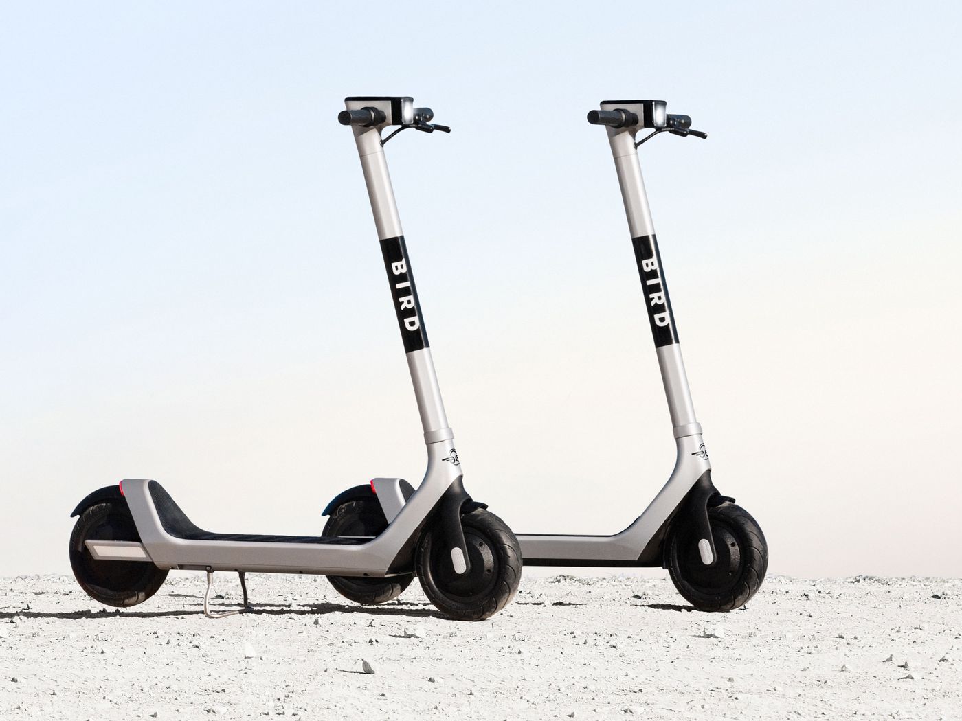bird-electric-scooter