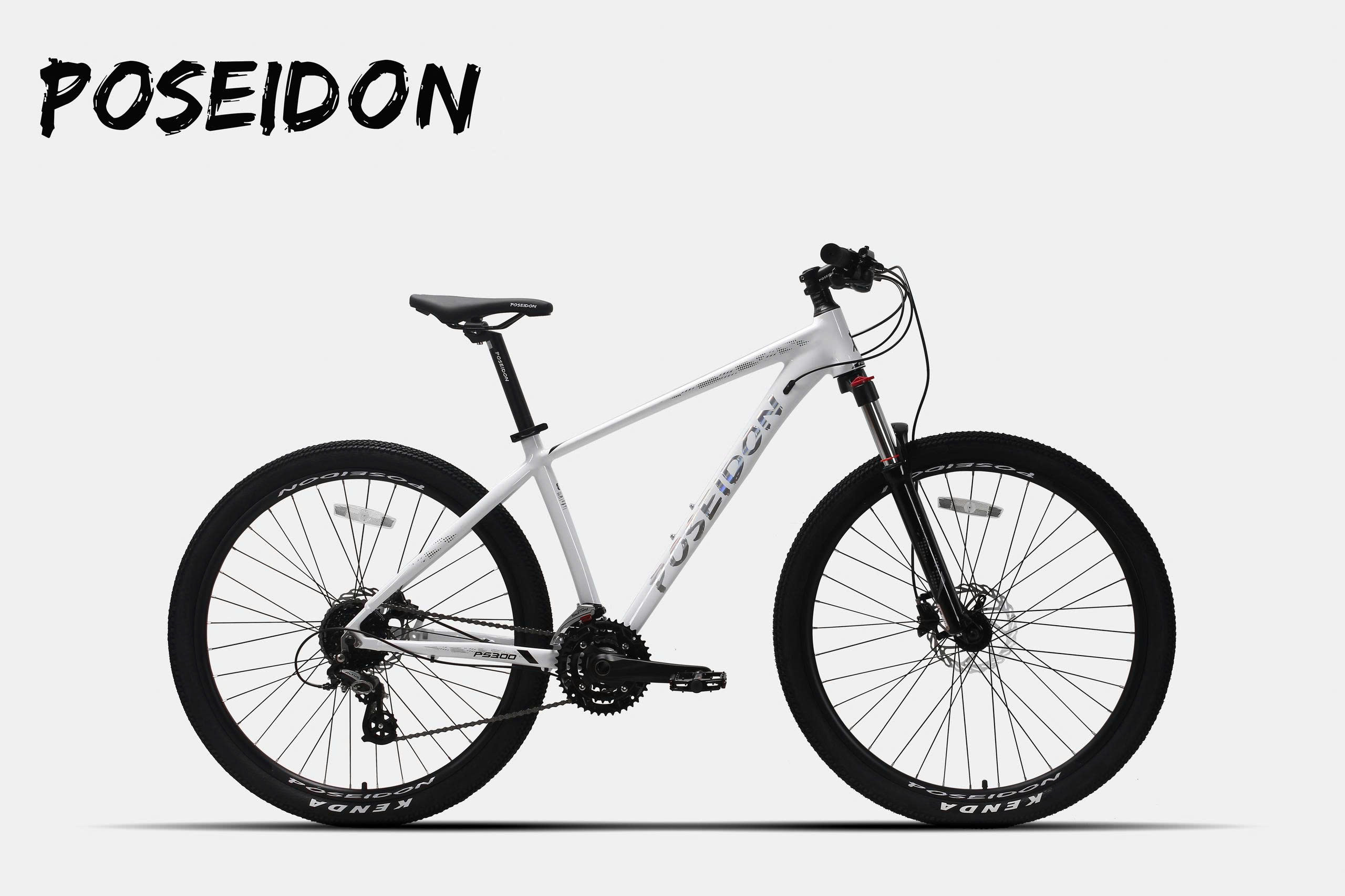 POSEIDON PS300