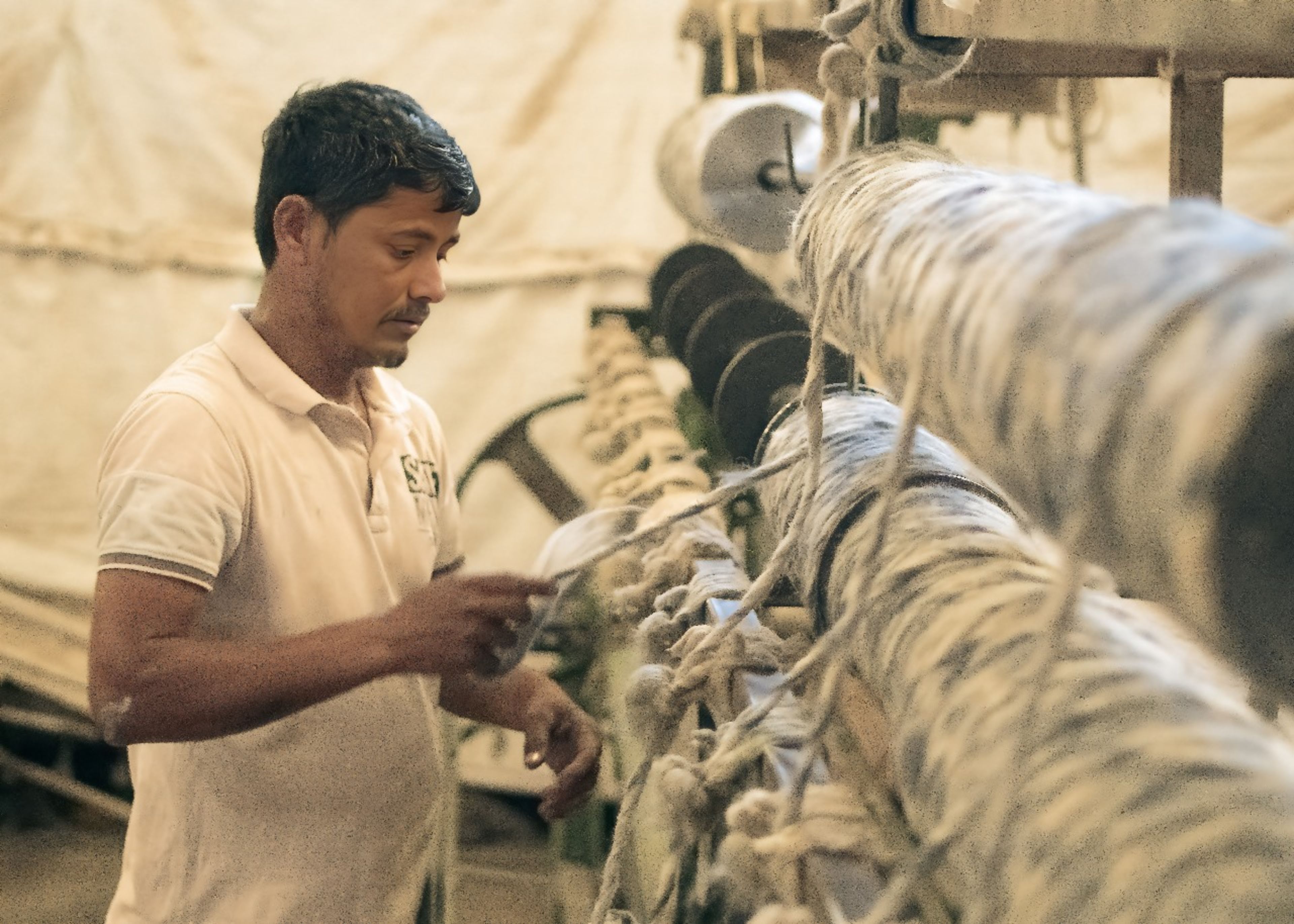 Karigar craftsman working with wool on the loom