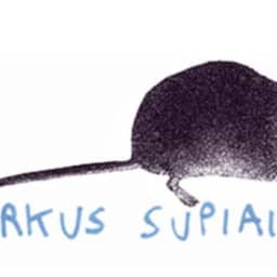 Sirkus Supiainen vierailulla