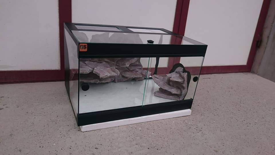 Glass Terrariums