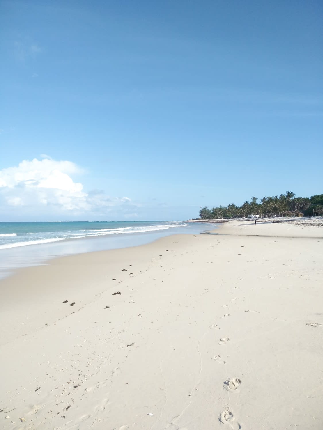 2 Days Tsavo East Safari from Diani Beach