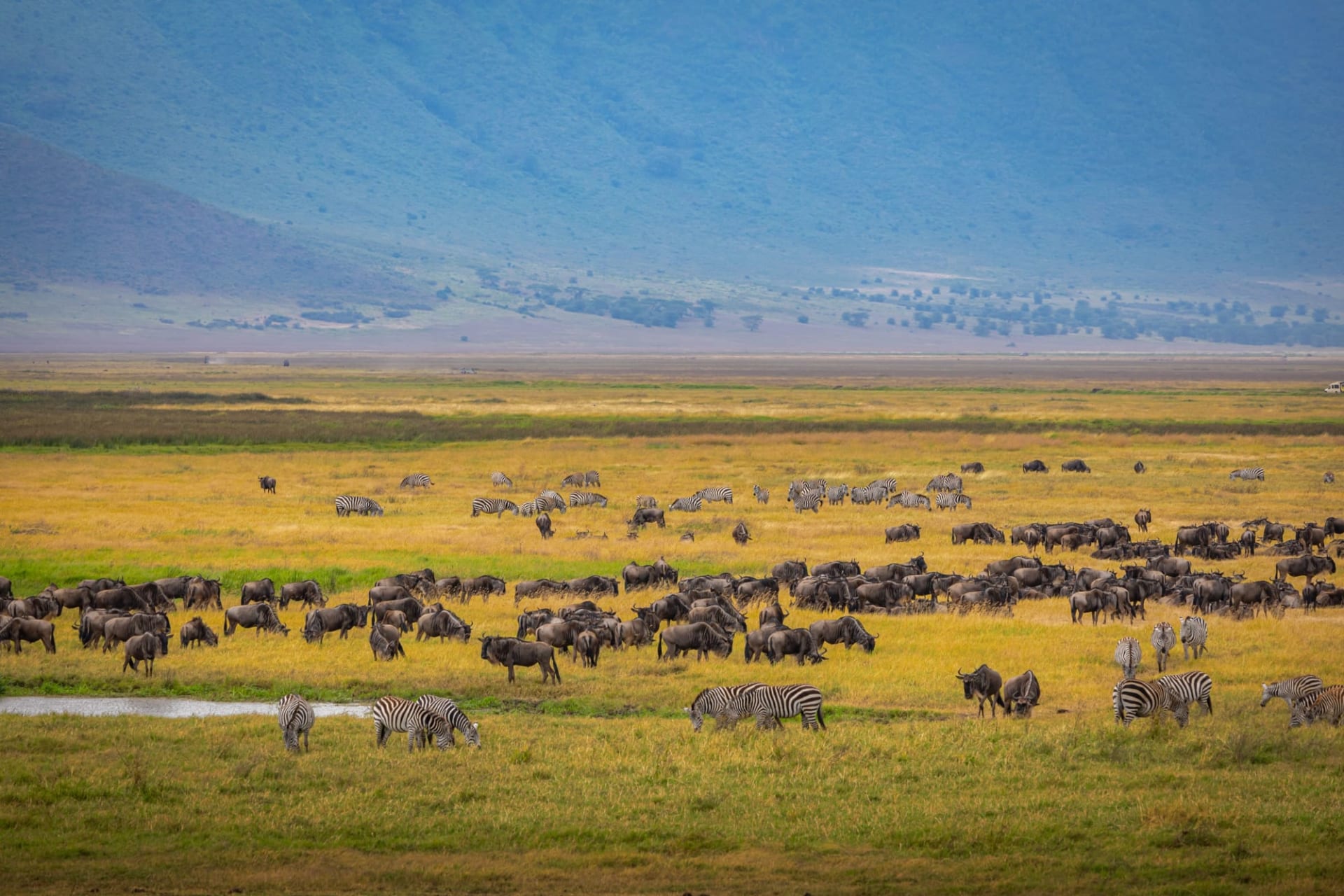 3 Days Lake Manyara & Ngorongoro Crater Safari