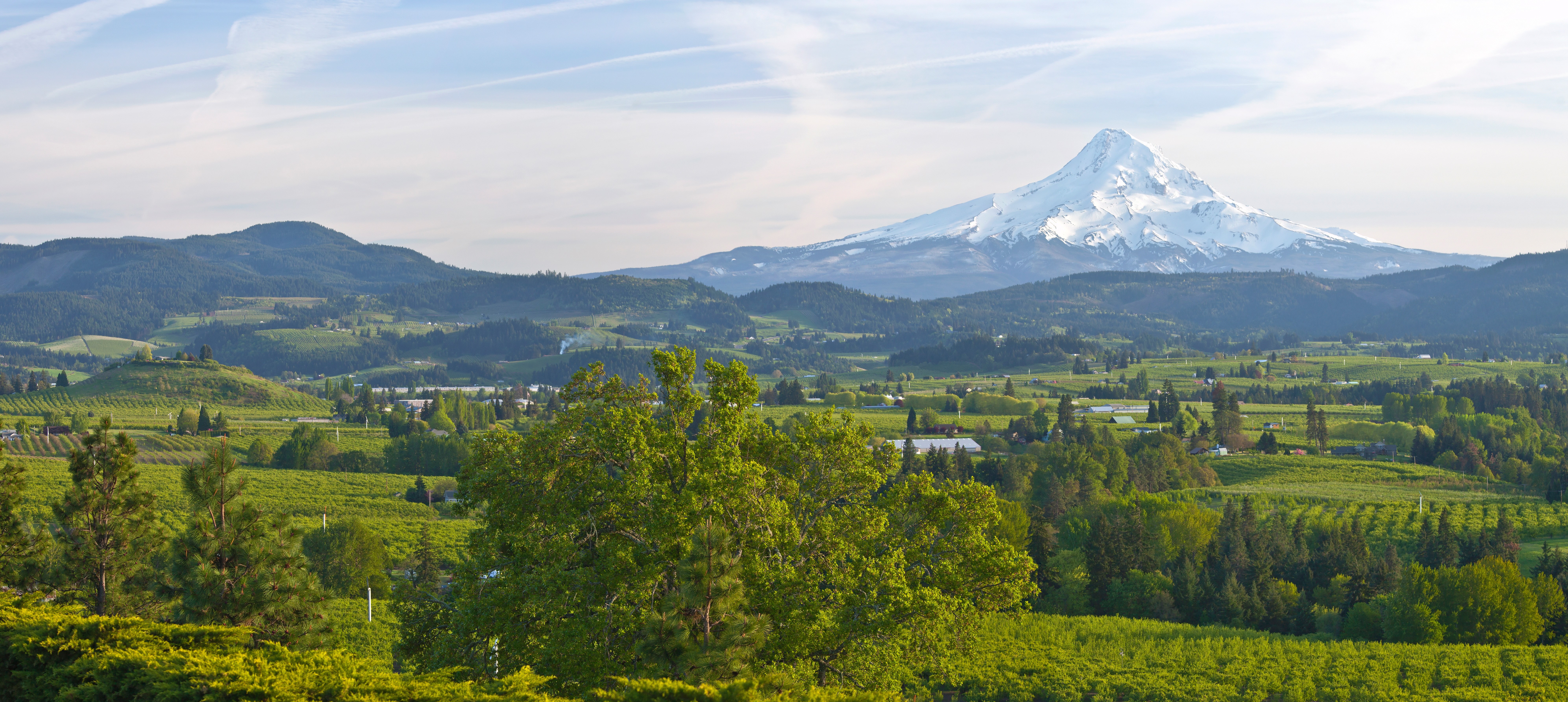 Hood River agricultural farmland