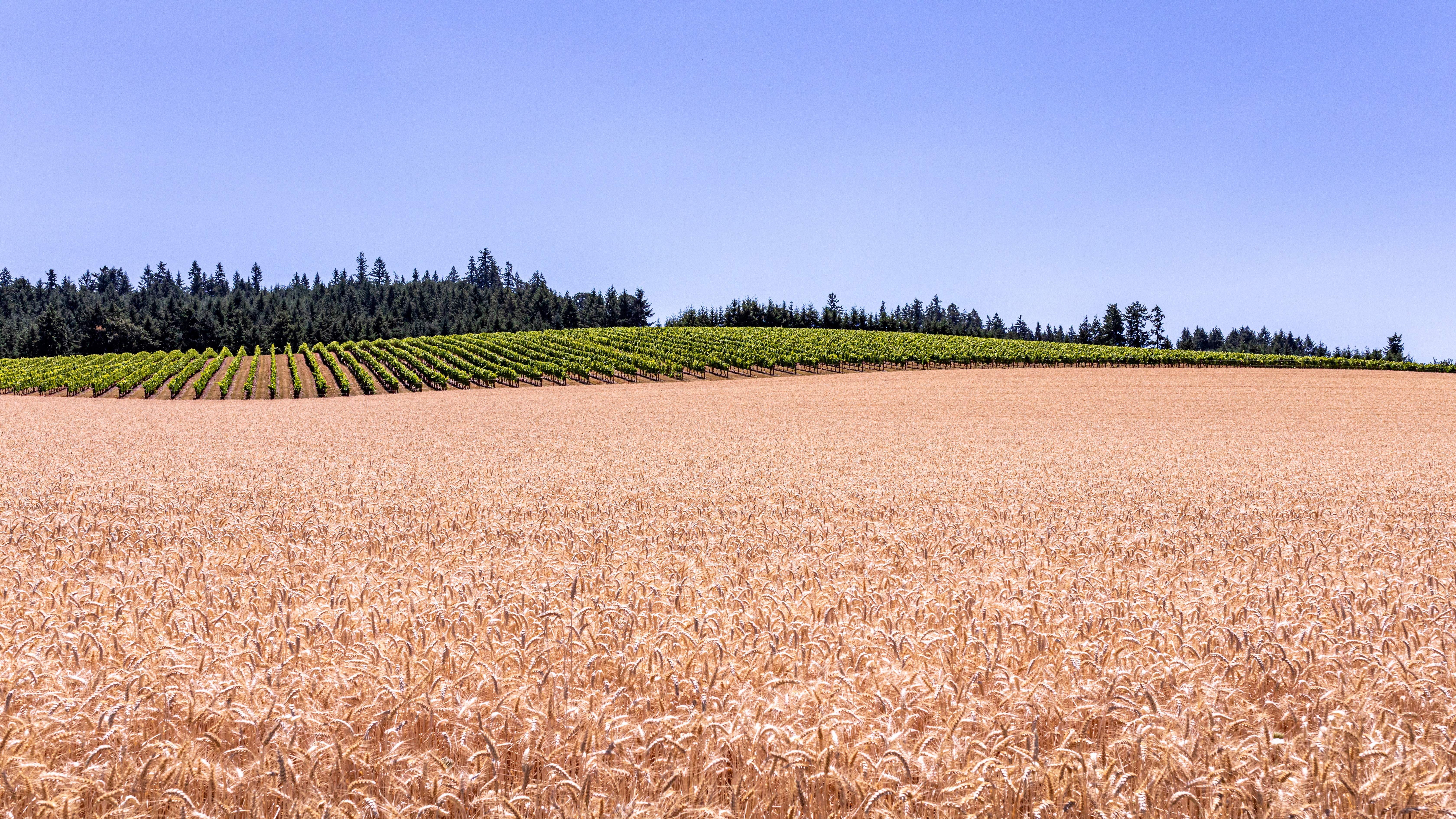 Agricultural Lending in Oregon and California: Water Rights, Land Use Laws, SGMA, and the Underwriting Complexities That Make These States Different