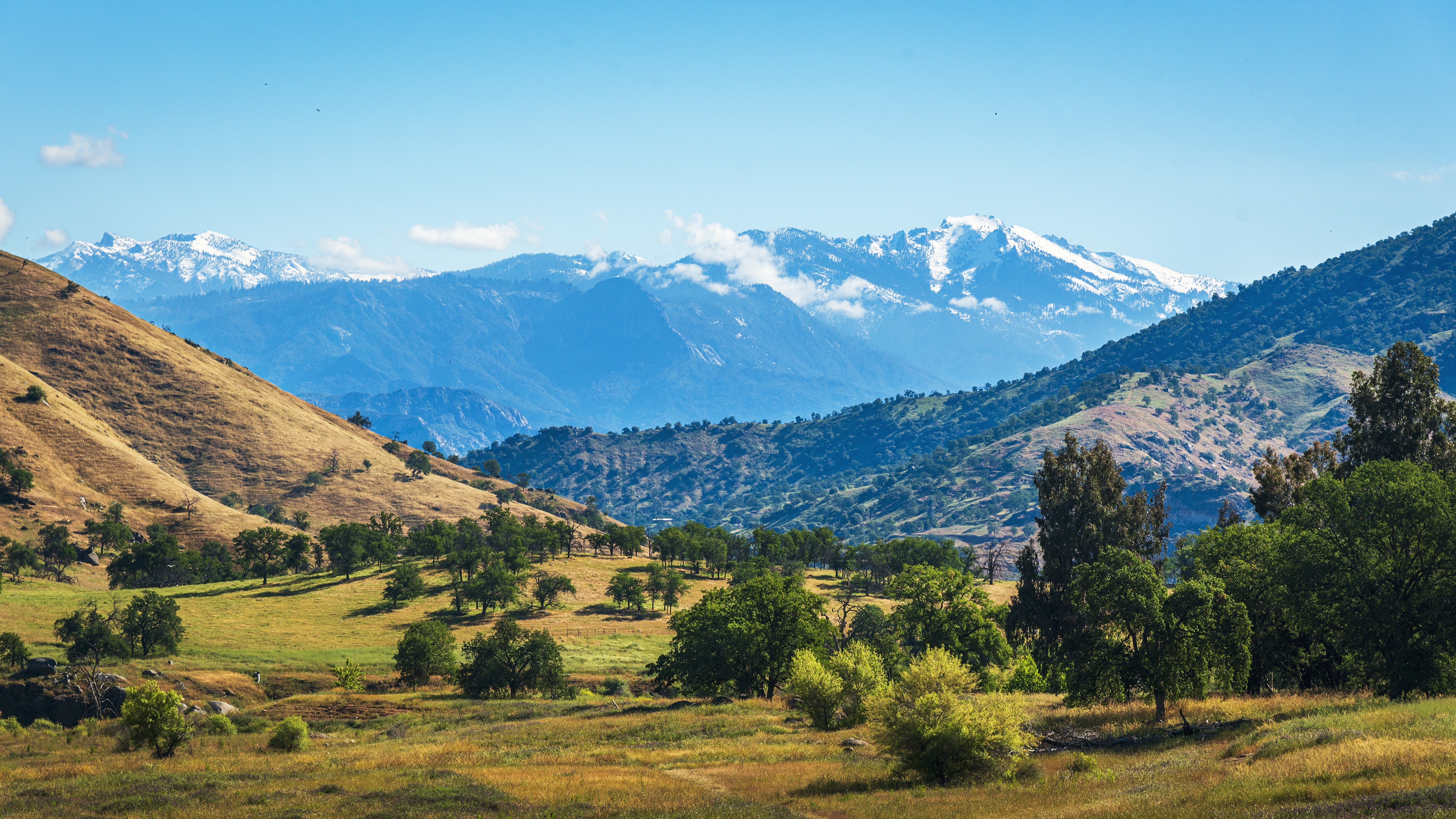 Financing a 19-Acre Equestrian Estate in Lincoln, California: Conventional vs. Ranch Home Loans vs. Ag Loans on a $1.5M Sierra Foothills Horse Property