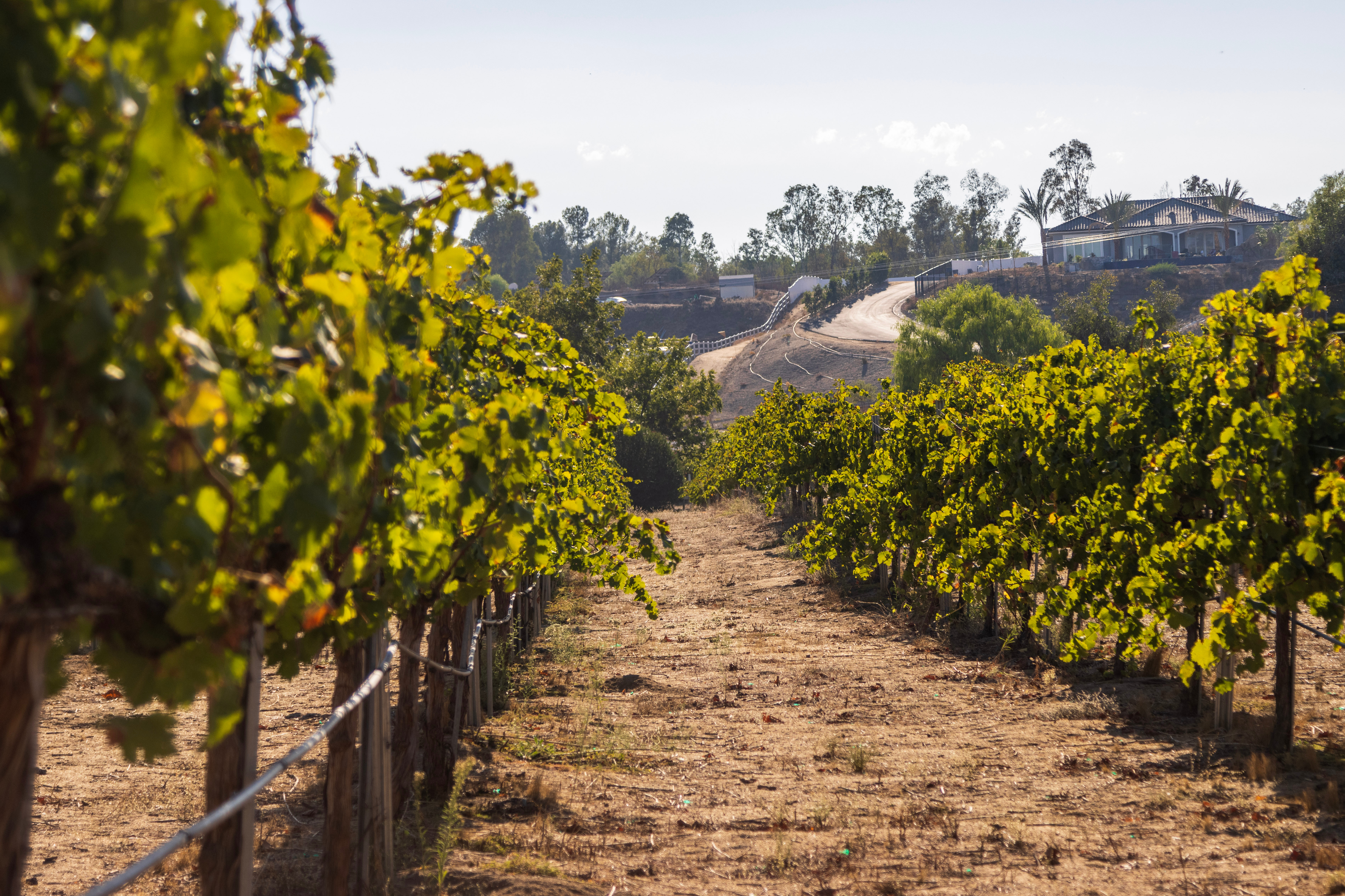 Retiring to Wine Country: Financing a $2M Temecula Vineyard Estate as a Second Home