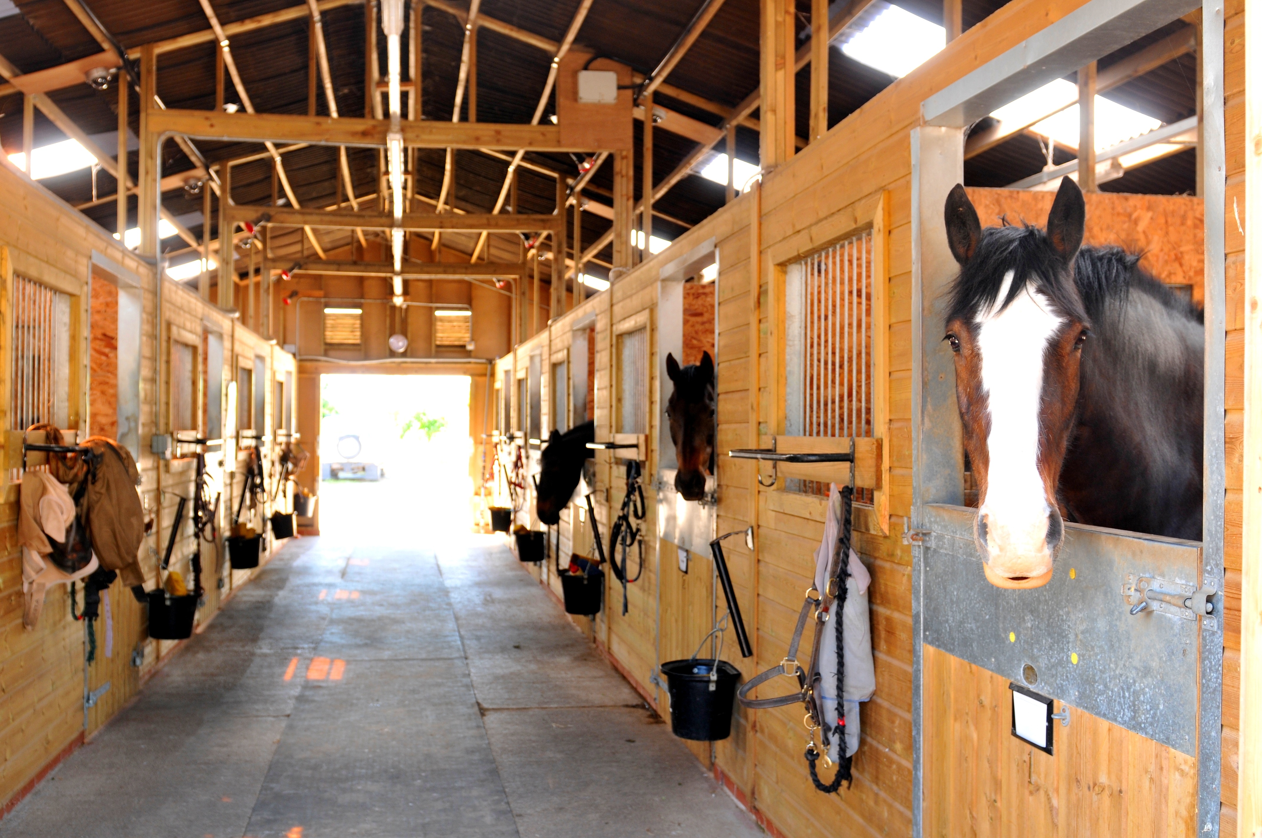 Turned Down by Their Bank: How We Financed a Nearly $3M Templeton Equestrian Estate