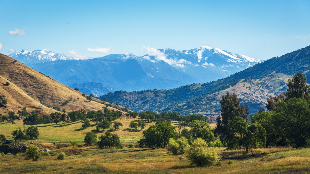 Financing a 19-Acre Equestrian Estate in Lincoln, California: Conventional vs. Ranch Home Loans vs. Ag Loans on a $1.5M Sierra Foothills Horse Property