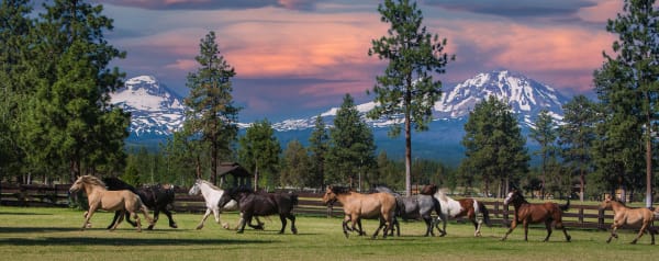 Equestrian Property Loans in Oregon: Financing Horse Properties, Arenas & Boarding Facilities